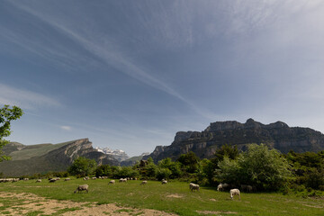 Vió, viewpoint to the Añisclo Canyon and Monte Perdido