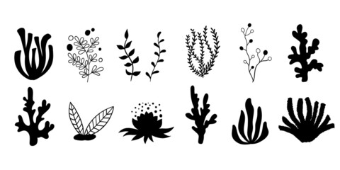Set marine plants, corals and seaweed. Silhouettes of underwater reef plants. Vector in cartoon style.