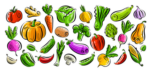 Vegetarian organic healthy food set. Farm vegetables collection. Vegan concept. Color vector illustration - obrazy, fototapety, plakaty