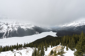 View of Peyto Lake in Banff National Park in early summer before the lake freezes over