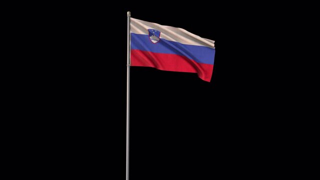 Slovenia flag, 4k video background is transparent