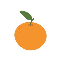 orange fruit vector illustration flat style
