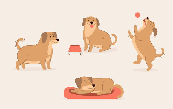 Cute dog activity set, dogs daily routine. Funny puppy is sleeping, playing ball, eating his food.