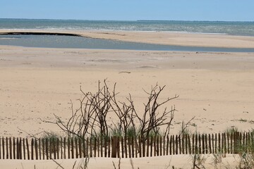 sand dunes and fence