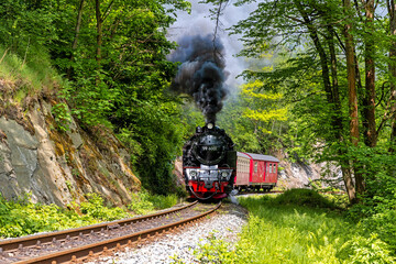 Selketalbahn Eisenbahnromantik im Selketal Harz
