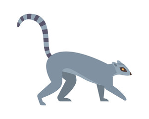 Raccoon African animal. Vector illustration