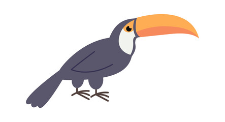 Toucan bird African animal. Vector illustration