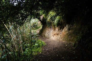 The trekking trail on San Miguel Island, Azores Archipelago, Portugal.