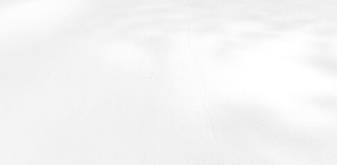 Abstract blurred background. The shadow reflection of leaves and gray light lines. on the white surface concrete wall. for wallpaper, backdrop and design.