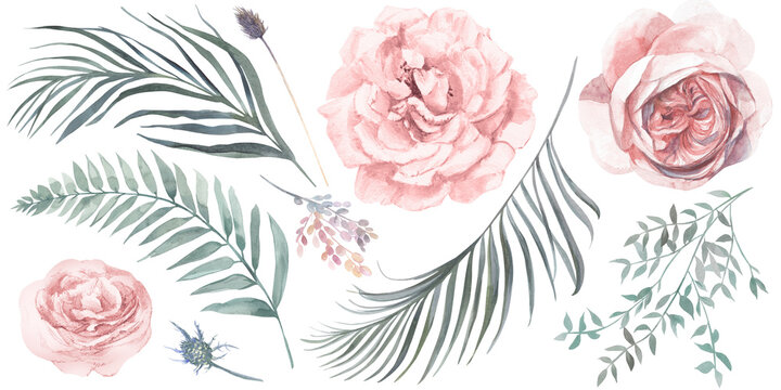 Set of watercolor dry tropical palm leaves and pink rose flowers painted in watercolor isolated on white background for wedding design in boho style