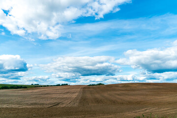 Fototapeta na wymiar A plowed field against the sky. The season of planting crops in a wheat field. Preparing the field for planting rapeseed, wheat, rye and barley in rural areas.