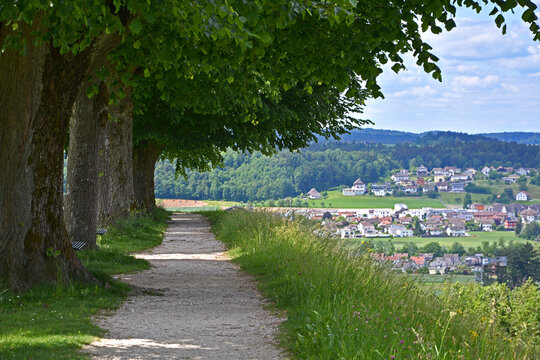 Zofingen, Kanton Aargau, die Arkaden der Markthalle