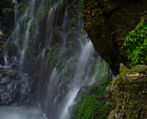 waterfall on green moss