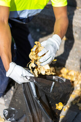 vertical view of an unrecognizable latin street sweeper picking up leaves and garbage from the...