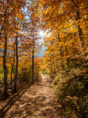 Beautiful autumn day in the Vrata valley in the Julian Alps mountains