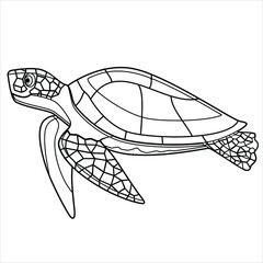  swimming tortoise. For coloring books, Cute Animal coloring 