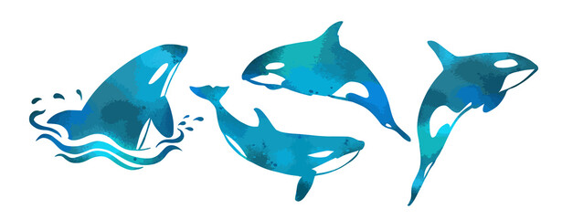 Killer whale blue set. Vector illustration