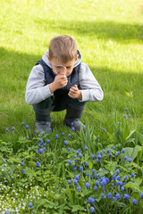 A little boy with a magnifying glass is studying the world around him