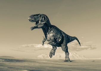 giganotosaurus is running on sunset desert side view © DM7