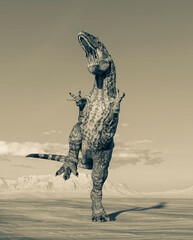 giganotosaurus is very aggressive on sunset desert © DM7