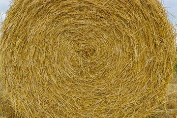 Circle of straws in straw bale with geometrical patterns