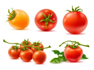 Realistic tomatoes. 3d vegetables, whole fruits on twigs, green leaves, red and yellow agricultural natural products, fresh cooking, juice and ketchup ingredients, vector food isolated set