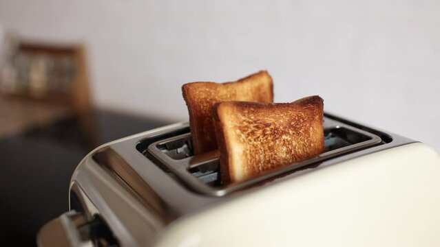 Roasted bread in white toaster. two delicious and toaster toasts. the process of frying toasts.