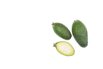 Edible Botanical Species; Guava Feijoa Tropical Fruit - Acca Sellowiana