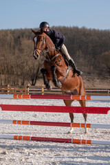 horse racing on a race