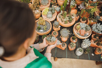 Florist Woman With Potted Succulent Plants In A Garden Center