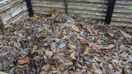 集められた落葉