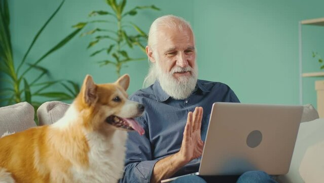 Handsome Grandpa with Lovely Dog Talking on Video Call on Laptop,Sitting in Light Living Room.Chatting with Friends on Social Network.Older Grandparent Learn Using Modern Technology Gadget Concept.