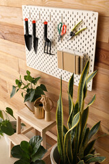 Houseplants, stepladder stool and pegboard with gardening tools near wooden wall in room