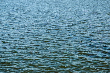 Fototapeta premium Calm water surface with small ripples. Background of the water surface of the river on a sunny day.