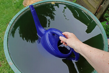 Eine Frau holt mit der Gießkanne Regenwasser aus der Regentonne