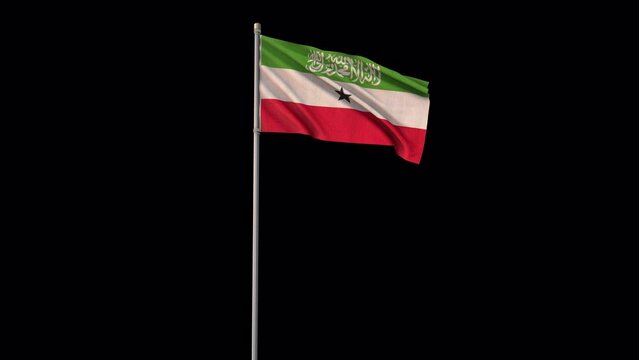 Somaliland flag, 4k video background is transparent