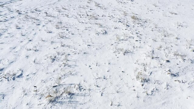 Mt Hermon, Israel. A fly in drone shot over a snowy valley floor and over a crater lake, Birkat Ram. Hikers can be seen around the lake. Background is snow covered mountains and blue sky.
