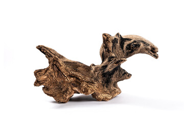 dry dead root isolated on white background