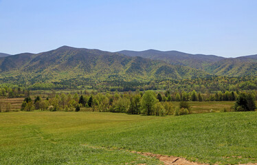 Great Smoky Mountains landscape, Tennessee