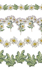 Set seamless rim watercolor white chrysanthemum daisy chamomile with green leaves background. Hand-drawn summer bloom flower for florist. Border for celebration wedding wrapping textile, coloring book