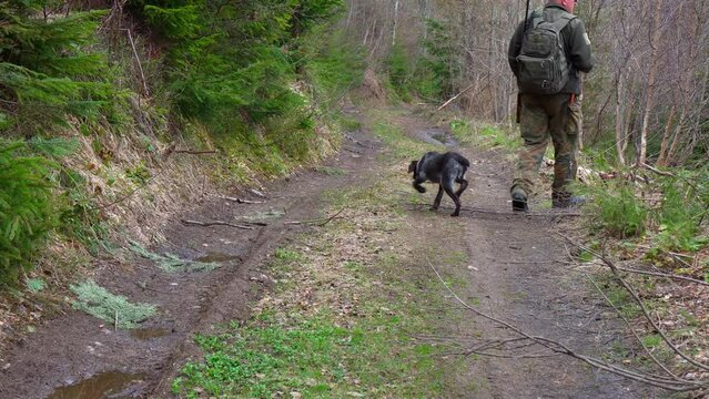 Hunter with his shotgun in middle of nature. Male hunter hunting outdoors