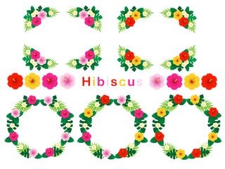 ハイビスカスのフレームセット
