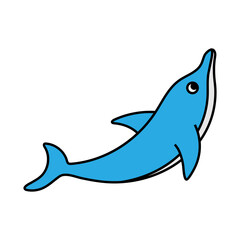 dolphin icon design template vector illustration