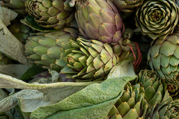 Fototapeta premium Fresh raw heads of artichokes plants for sale on farmers market