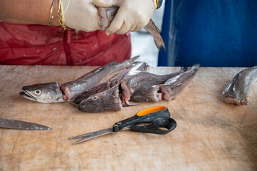 Catch of the day for sale on daily fish market in old port of Marseille, Provence, France
