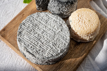 French goat cheeses crottin and selles-sur-cher served with view on boats in harbor of Cassis,...