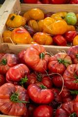 Fototapeta na wymiar Colorful french ripe tasty tomatoes in assortment on Provencal market in Cassis, Provence, France