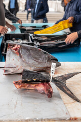 Catch of the day for sale on daily fish market in old port of Marseille, Provence, France