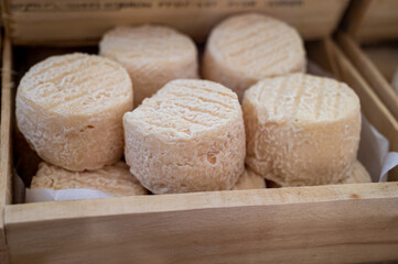 French goat cheese crottin on farmers market in Cassis, Provence, France