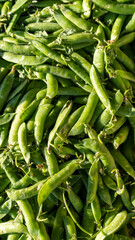 Fototapeta premium Natural background with green pea pods
